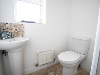 Picture 15